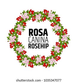 wreath of rose hips. Decorative element with briar ornament