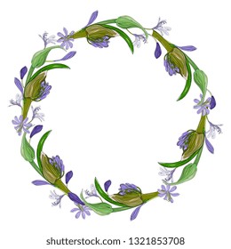wreath, round frame  bouquet of exotic flowers lilac agapanthus. Hand drawing. botanical flower illustration, sketch.for  wedding invitations, greeting cards, decor