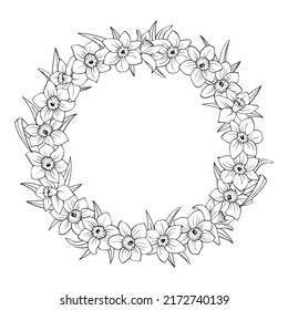 Wreath or round shape frame of narcissus flowers isolated on white. Daffodils outline hand drawn sketch, buds and leaves. Vector decorative element for floral design, wedding or greeting card.