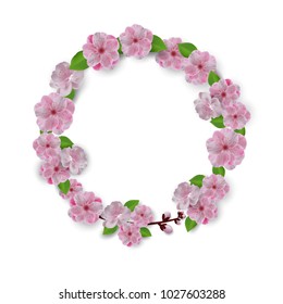 Wreath of sakura background. Vector stock.