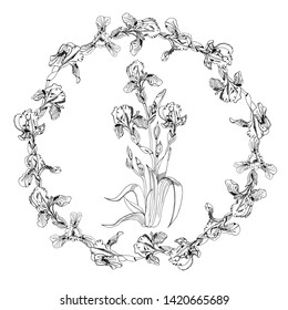 Wreath of single buds of iris flowers and boquet of irises. Hand drawn ink sketch. Set of monochrome objects isolated on white background.