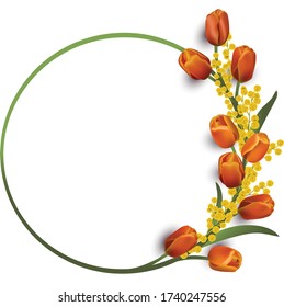Wreath of spring tulips and mimosa, floral round frame, decorative design, vector illustration