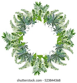 A Wreath Of Tropical Leaves