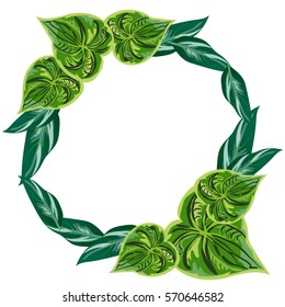 A wreath of tropical leaves