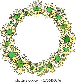 A wreath of white with green daisies, camomiles, beautiful flower buds. Vector isolated illustration. For a holiday, wedding invitation