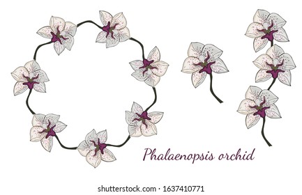 A wreath of white orchids on a white background. Decor Elements. Exotic wreath. Vector stock illustration.