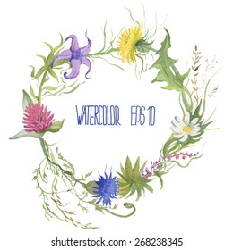 Wreath of wild flowers. Vector watercolor illustration