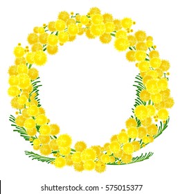 Wreath of yellow acacia flowers twigs. Isolated on white vector illustration