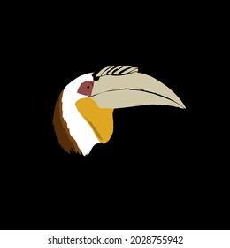 Wreathed hornbill, Rhyticeros undulatus eats fruits, crabs, even frogs. It can be found in Asia, from India, Indonesia, Malaysia, Myanmar, Thailand, and so on