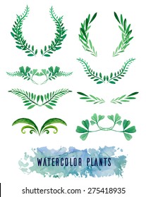 Wreaths and framework of watercolors of plants for your design