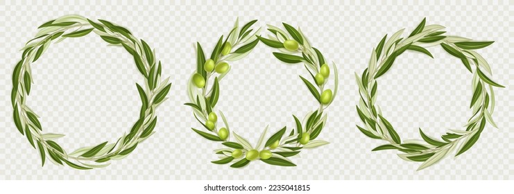 Wreaths of olive tree branches with green fruits and leaves isolated on transparent background. Circle borders of tree sprigs with fresh olives, vector realistic illustration