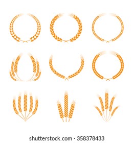 Coronas de trigo o arroz. Elemento de diseño de vectores. Conjunto de coronas de oro