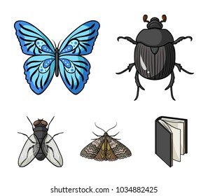 Wrecker, parasite, nature, butterfly .Insects set collection icons in cartoon style vector symbol stock illustration web.