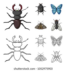 Wrecker, parasite, nature, butterfly .Insects set collection icons in cartoon,outline style vector symbol stock illustration web.