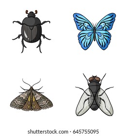 Wrecker, parasite, nature, butterfly .Insects set collection icons in cartoon style vector symbol stock illustration web.