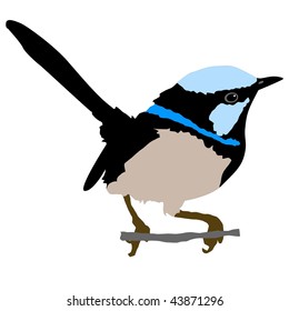 wren