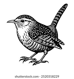 Wren Bird .1, Whit and Black , Illustrator, Image, White Background