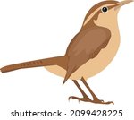 Wren bird, illustration, vector on a white background.