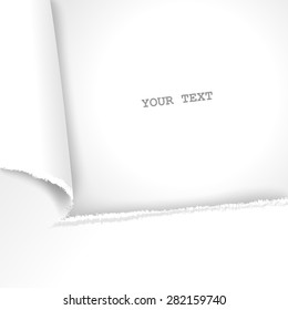 Wrested piece of paper on the edge. Folded corner with free place for your