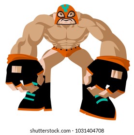 wrestling fighter masked wrestler