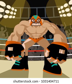 wrestling fighter masked wrestler