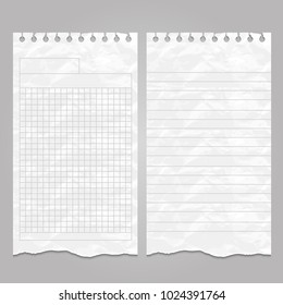 Wrinkled Ripped Lined Page Or Sheet Paper Templates For Notes Or Memo. Vector Illustration