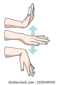 Wrist joint rehabilitation exercises. Vector illustration. Exercise 1