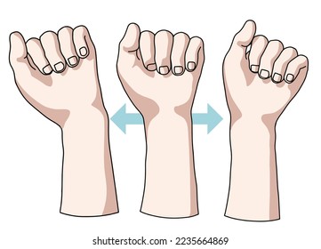 Wrist joint rehabilitation exercises. Vector illustration. Exercise 2