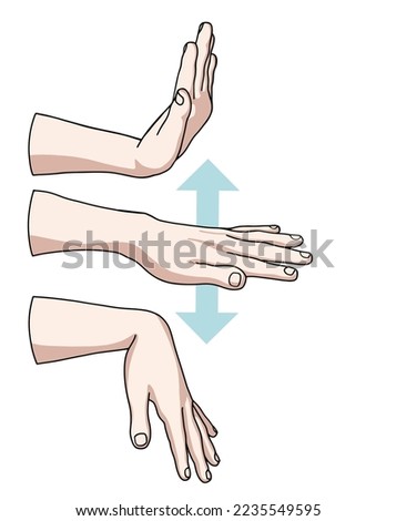 Wrist joint rehabilitation exercises. Vector illustration. Exercise 1