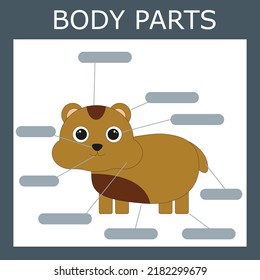 Write down the body parts of the hamster. Educational game for children.