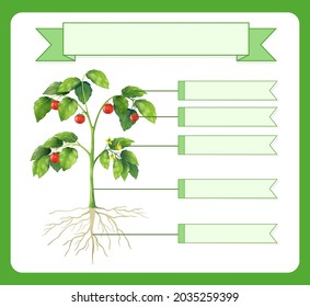 Write Parts Of A Plant Worksheet For Kids Illustration