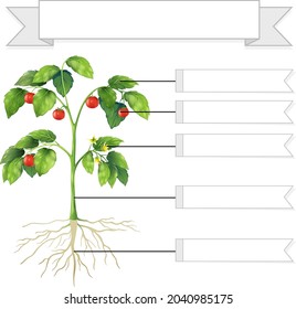 Write parts of a plant worksheet for kids illustration