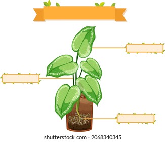 Write parts of a plant worksheet for kids illustration