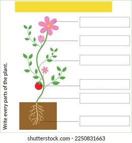 Write parts of a plant worksheet for kids illustration