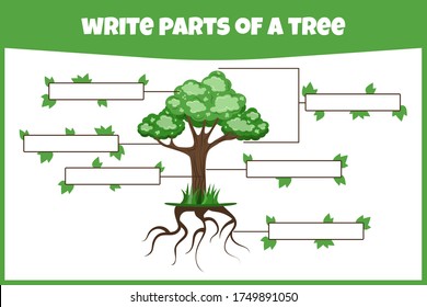 Write parts of a tree. Think and write. Learning words. Education worksheet. Activity page for study English.  Education game for children. Isolated vector illustration. Cartoon style.