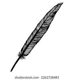 Writer's feather. Vector illustration hand drawn doodle.