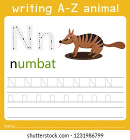 writing a-z animal n