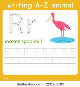 writing a-z animal r