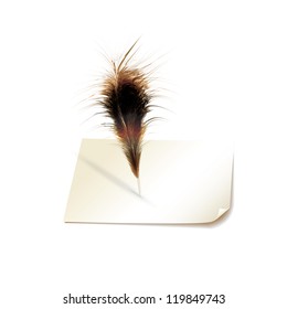 Writing feather