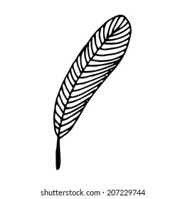writing feather 