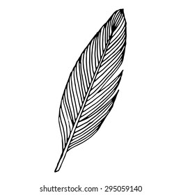 writing feather