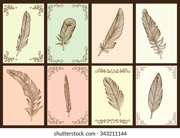 Writing feather collection