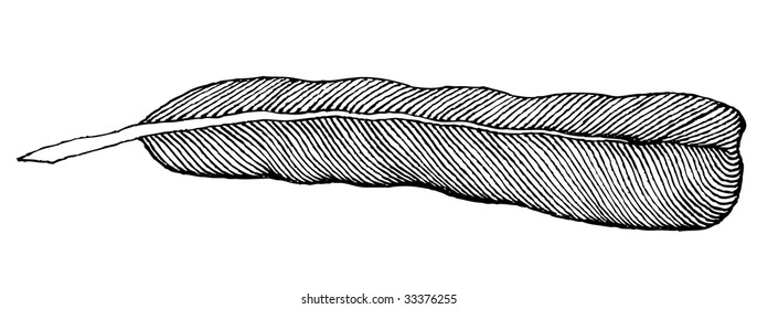 writing feather naive hand drawing
