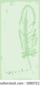 writing feather on green background