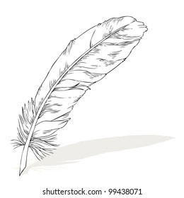 writing feather with shadow