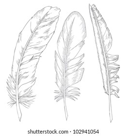 writing feathers