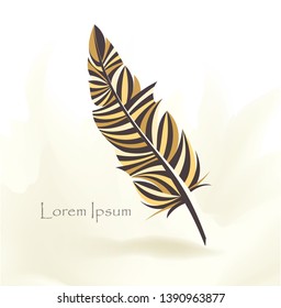 writing pen multicolored bird feather with place for text