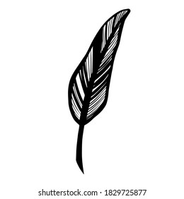 Writing Quill Feather Pen. quill pen. Vector icon. For cards, posters, coloring book, decor, t shirt design, logo tattoo illustration.
