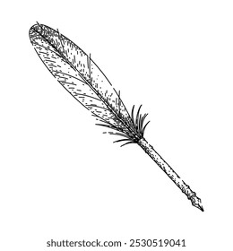 Pluma de pluma de escritura dibujada a mano. pluma de tinta, inmersión de caligrafía, pergamino de escritura pluma de pluma de Vector boceto. ilustración negra aislada