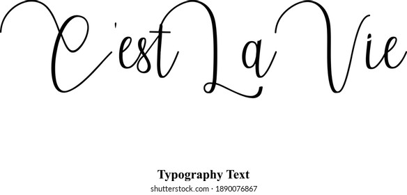 Written Letter Typescript Typography Text Phrase C'est La Vie